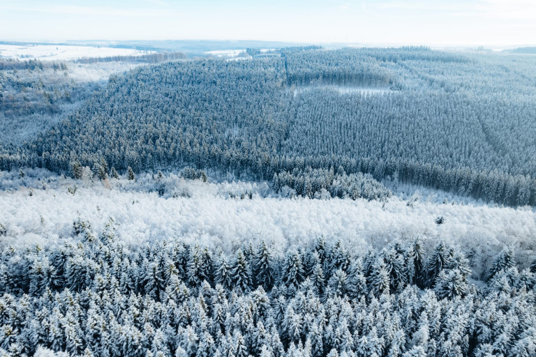 Photo de Samedi 24 janvier – Rando THAr’tiflette hivernale