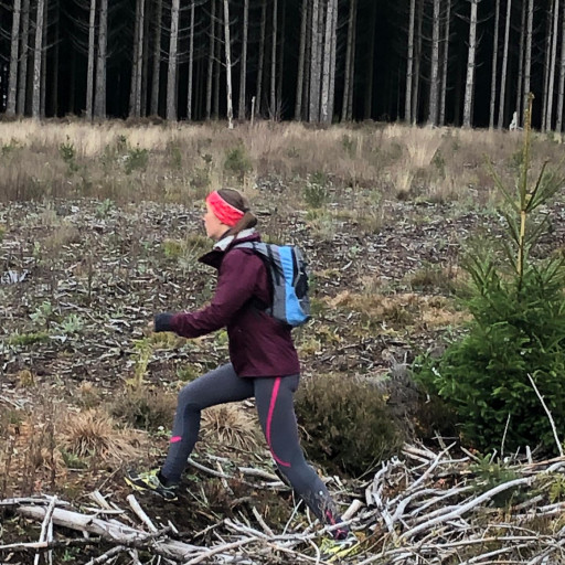 Picture of OrienTHArée