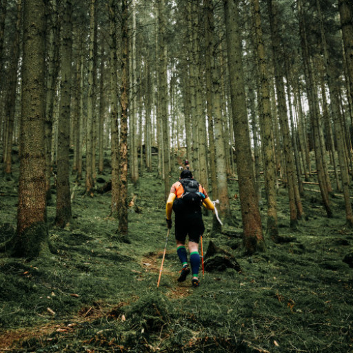 Photo de Trail & Beer's + dégustation de nos bières