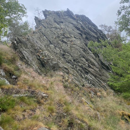 Photo de Rando sportive + dégustation de nos bières