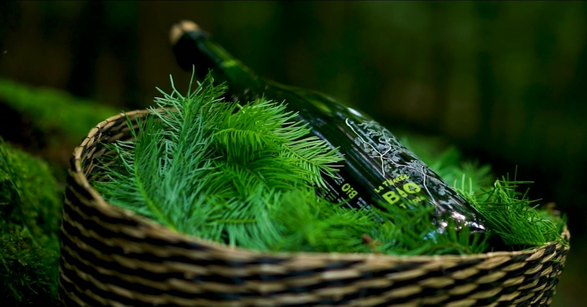 Tchin tchin avec des verres de bières La THArée