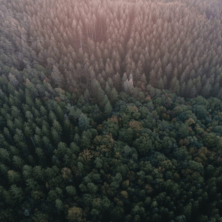 Photo de La Champi’THArée revient le 11 octobre !