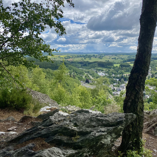 Photo de Rando sportive + dégustation de nos bières