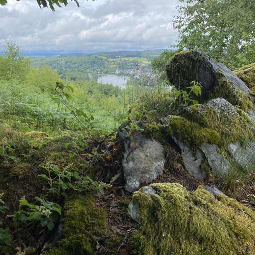 Photo de Rando sportive + dégustation de nos bières
