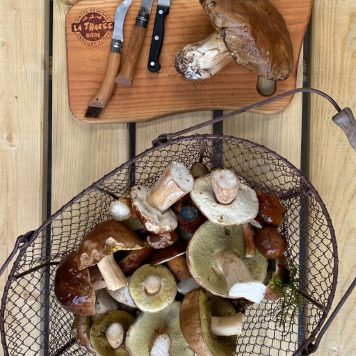 Photo de Rando Famille – Tous niveaux & dégustation de nos bières