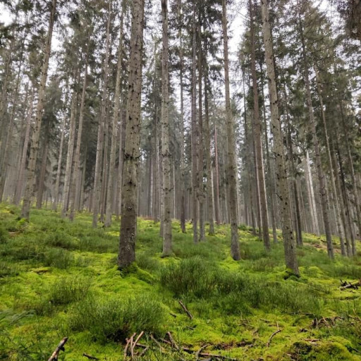 Photo de Trail & Beer's + dégustation de nos bières